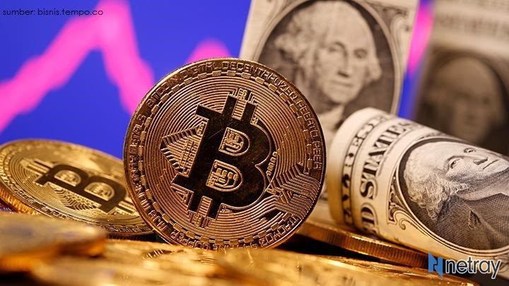 Harga Cryptocurrency Anjlok, Apa Penyebabnya? - Netray